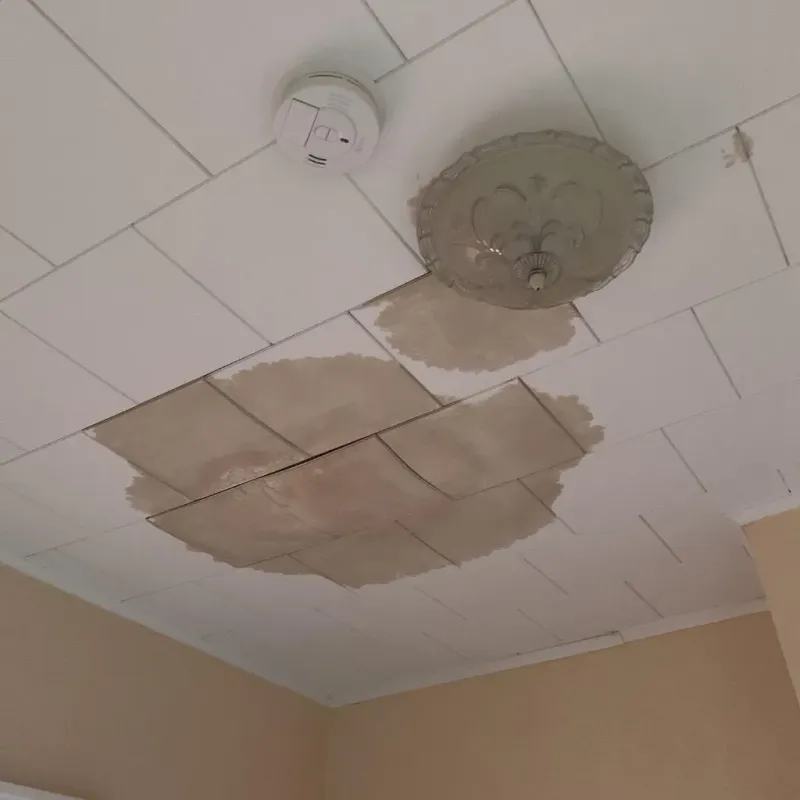 Ceiling Water Damage Repair in Patton, PA