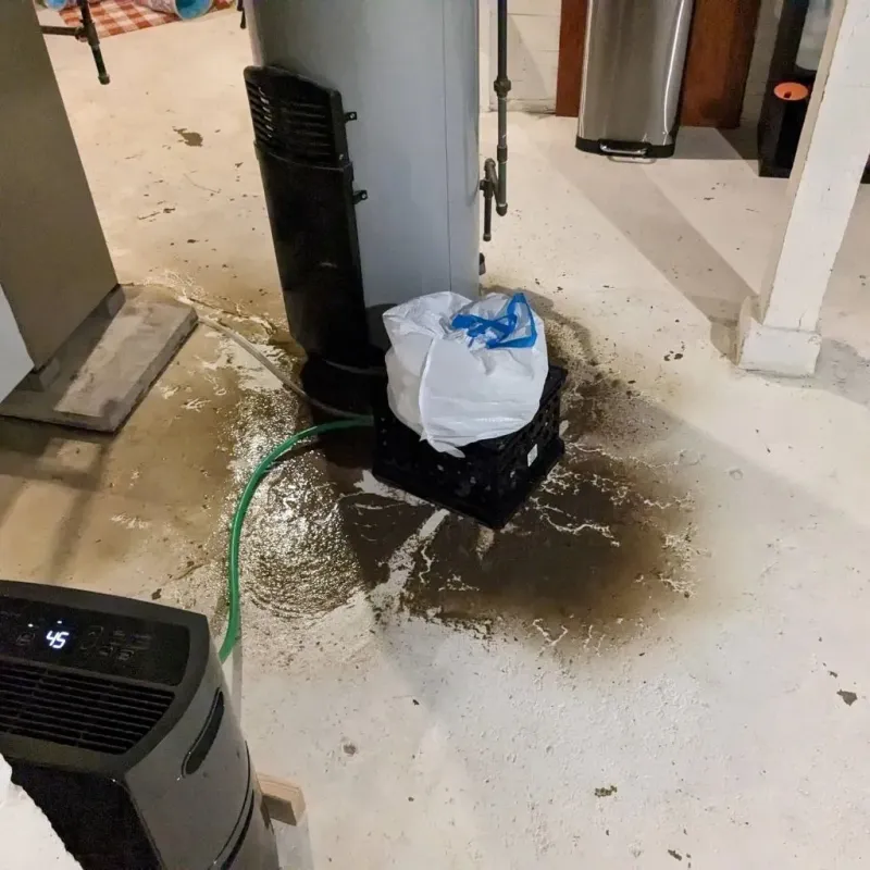 Sewage Backup Cleanup Service in Patton, PA